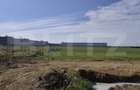 Teren intravilan de vanzare, 10.000 mp, zona industriala, Oradea - 3