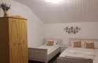 Casa de vacanță de vanzare Sasca montana  - 9