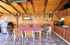 PROPRIETATE CU AFACERE FUNCTIONALA DE VANZARE - PETREU, LANGA MARGHITA - 7