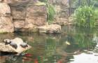 Apartament 2 camere de inchiriat North Area Lake View - 41
