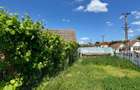Casa de vanzare cu potential ridicat in Cornatel jud.Sibiu - 3