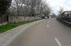 Vând grădină în Tg.Frumos - 2
