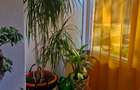Apartament cu 2 camere  - 3