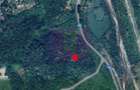 Teren intravilan de vanzare in Lunca Mare (la 10 km de Valea Doftanei) - 8