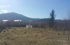 TEREN IN NOUA - INTRAVILAN CONSTRUCTIE- 900 mp  - COMISION 0% pentru cumparator - 4