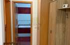 Apartament 2 camere de inchiriat-Zona Doamna Stanca - 5