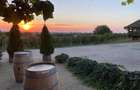 Proprietate istorică , crama +vie DOC + distilerie +loc. evenimente+ 20000 vin - 7