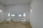 REA1020079 Apartament tip duplex Capitale parter inalt I demisol - 14
