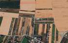 Teren intravilan 12.500 mp – Dragomirești Vale, Str. Lalelelor - 3