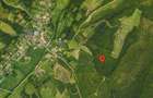 Teren 20 ha vestul Romaniei – ideal plantație aluni / livadă - 5