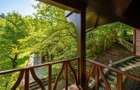 Mountain Chalet | Private Resort | Investment - Nistoresti - 12