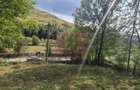 Teren intravilan 453 mp de vanzare in Valea Doftanei - 1