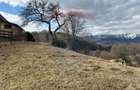 Teren Premium în Fundata: 3,784mp de Priveliște Panoramică - 3