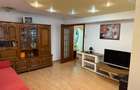 Apartament de inchiriat 3 camere Drumul Sarii - 13