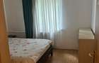 Pantelimon-Morarilor, Apartament 2 camere - 3