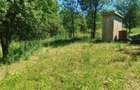 0 Comision Teren 1760 mp cu casa-Corusu, com Baciu, intravilan - 4