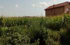 Teren, Zapodia,Traian Bacau - 3