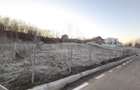 TEREN INTRAVILAN//COM. PLOPU//1300//2700 MP - 3