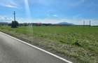 Vanzare teren industrial comercial 18.000 mp - 8