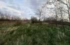 Teren de vanzare in Snagov, Jud. Ilfov - 4