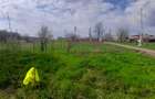 DE VANZARE TEREN 3400 MP IN SAT PODU ILFOVAT / COM BUTURUGENI (GR) - 19
