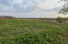 Teren de vanzare in Snagov, Jud. Ilfov - 6