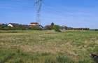 5000 mp teren parcelabil la strada asfaltata, APROAPE DE KAUFLAND. - 12