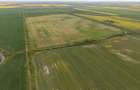 Teren investițional strategic 44.700 mp Arad Vest - 19
