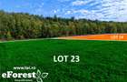 Loturi de casă între 2 păduri, cu intrare din DN, eForest, după Buftea - 4