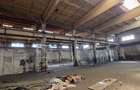 Industriilor Hala depozitare  productie 600-2400 mp de inchiriat - 1