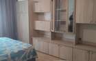 Apartament cu 1 camera - Nicolina - Lidl - 2