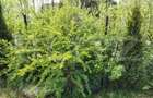 Casă individuală aproape de lac, 4 camere, teren generos, priveliște superbă - 19
