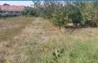 Teren 934 mp Ghimbav - 5