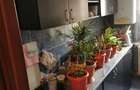 Apartament 3 camere în zona Grigore Alexandescu - 4