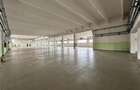 Hala/ spatiu comercial Pascani, 1500mp - 8