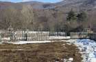 Teren intravilan 4521mp lângă pădure-valea Doftanei -Calea Brasovului - 7