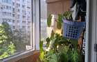 Apartament 2 camere Salajan Theodor Pallady comision 0% - 8
