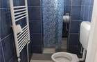 Cazare muncitori garsoniere/apartamente la curte in Vladimirescu - 19