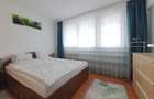 Inchiriere Apartament cu 2 camere Unirii - 5