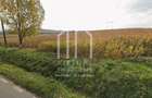 Teren de vanzare in Sibiu, 2.614 mp intravilan 4.081 mp extravilan - 3