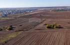 Vanzare teren intravilan 7,400 mp Sabareni / Strada Primaverii - 10