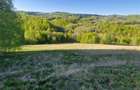 RECO, teren intravilan, Zona Sinteu, Bihor - 2