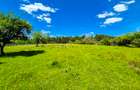 Teren intravilan   Cotmeana Arges - 4