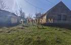 P4858 Casa batraneasca cu teren de 5.003mp, Cebza - 4