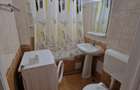 Apartament 2 camere Costin Georgian - 10
