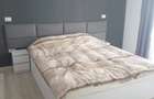 Luxury Villa Apartment in Central Constanța: 3 Rooms, 2 Baths, Parking - 4