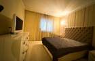 Apartament 2 camere de inchiriat Herastrau Nordului - 9