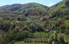 Teren de vanzare langa padure Copalnic Manastur - 5