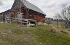 Vind casă și teren în satul Costești, comuna Albac județul Alba   - 2