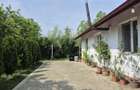 Proprietate deosebita de vanzare | Casa, 13.200 mp teren, doua iazuri cu peste | - 11